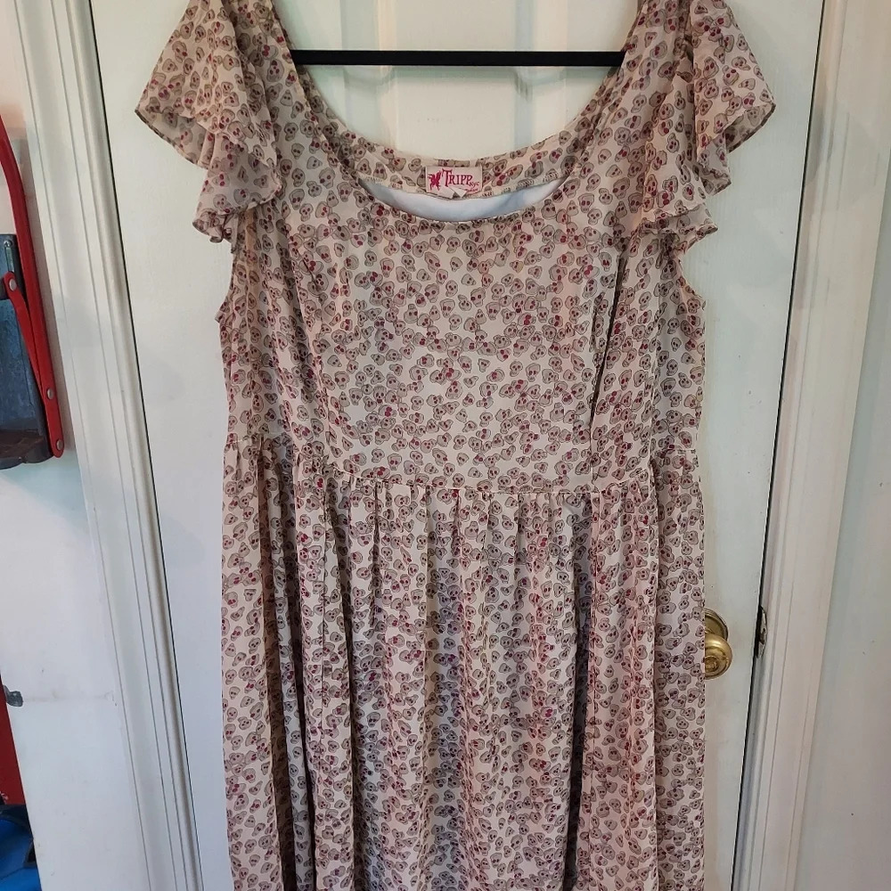 Tripp NYC Daang Goodman Chiffon Skull Heads Dress in Size 16
